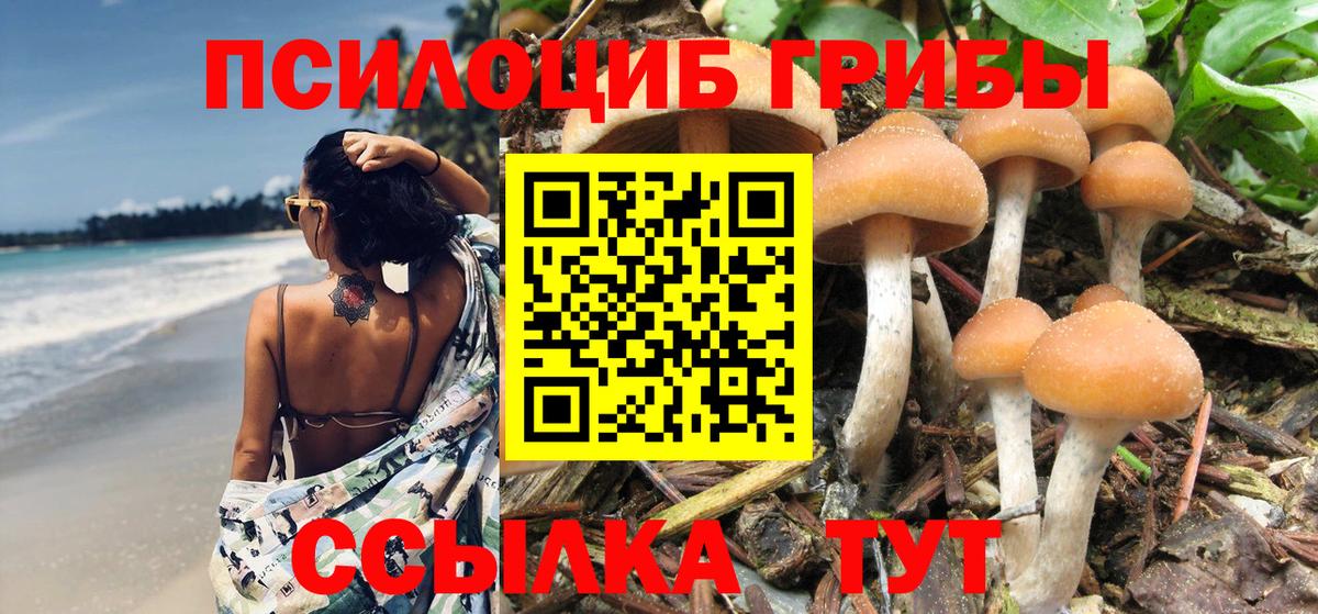 купить   Псилоцибиновые грибы Psilocybine cubensis  Вход с VPN  Псилоцибиновые грибы Cubensis  Борисоглебск 