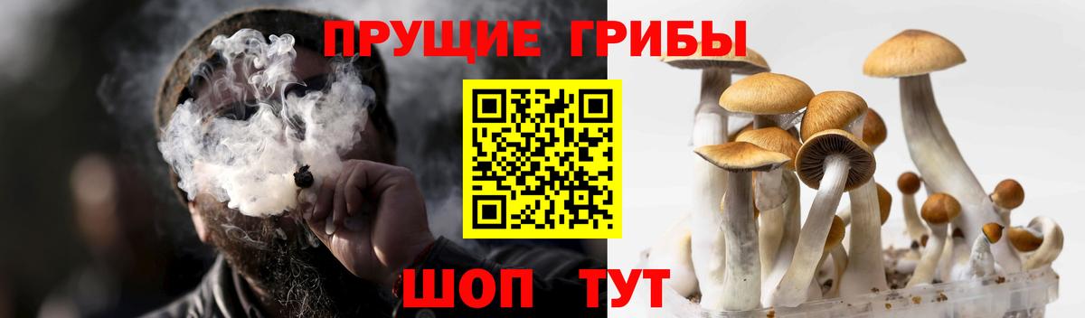 Псилоцибиновые грибы MAGIC MUSHROOMS Борисоглебск